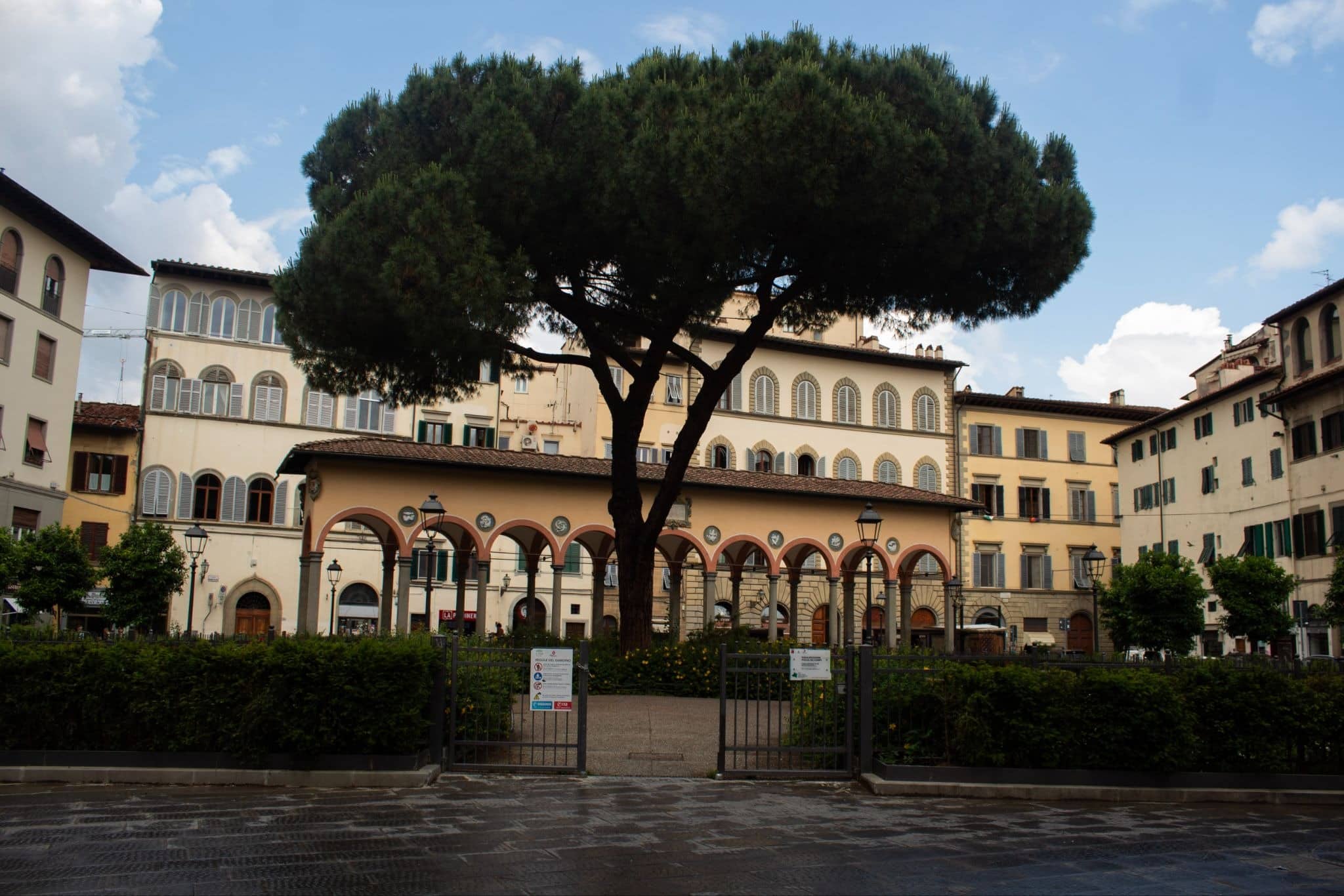 a square with a tree and shops