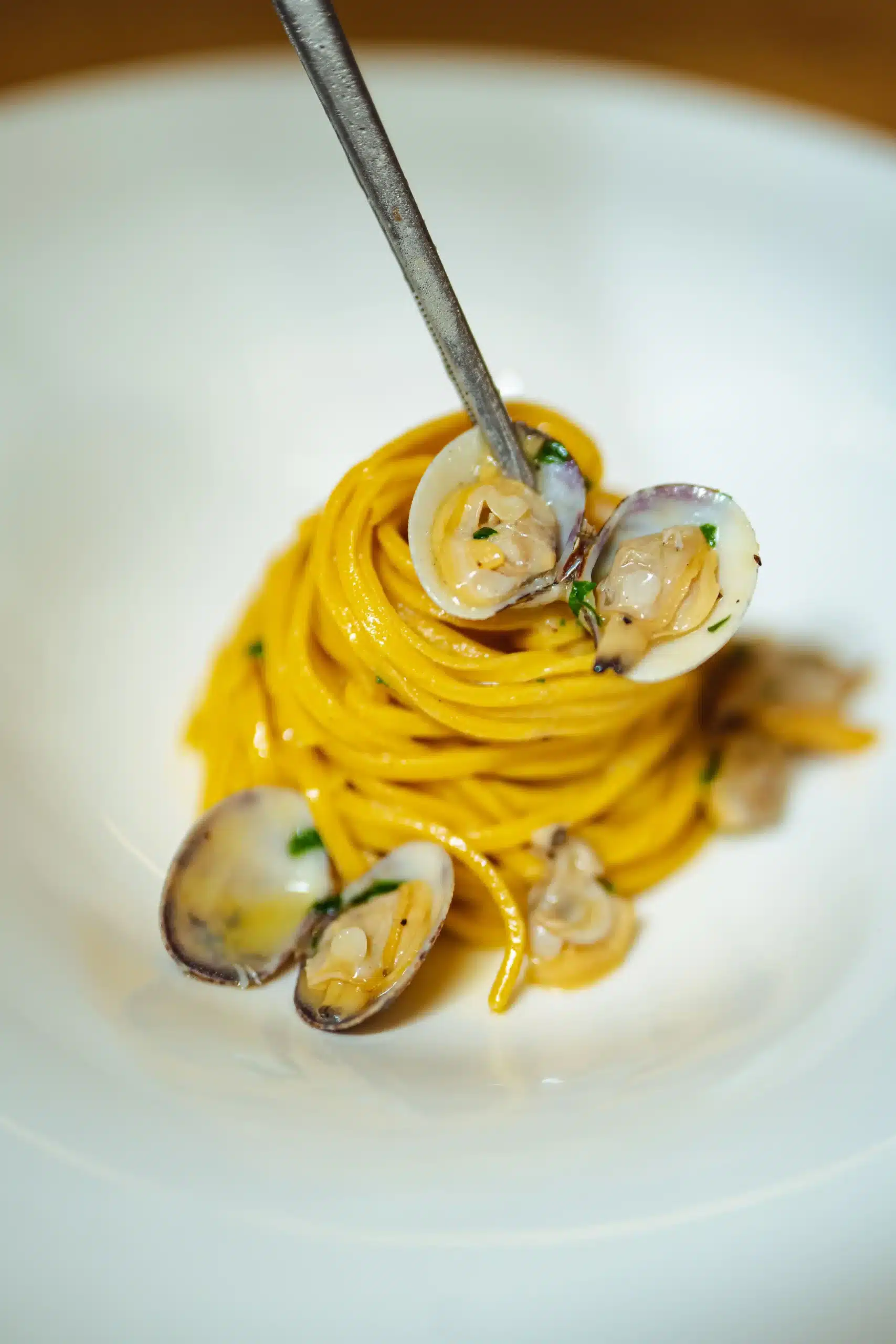 piatto di spaghetti con le telline