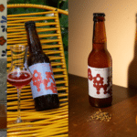 Four bottles of Batteria kombucha in assorted flavors with a glass and fresh ginger, served at Sfoglia Re